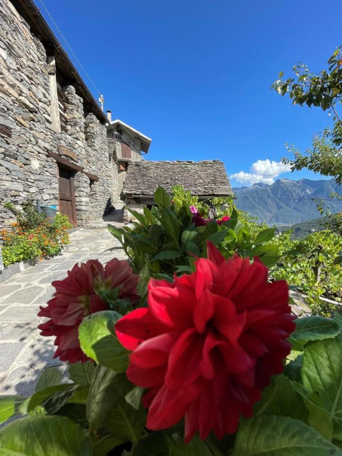 ドモドッソラ Casa Vacanze La Carbuneraヴィラ エクステリア 写真